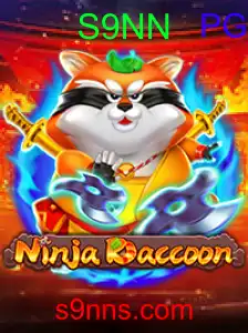 NinjaRaccoon